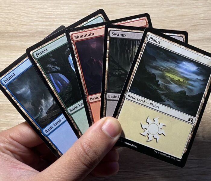Each of the five different basic mana cards in MTG in a hand.